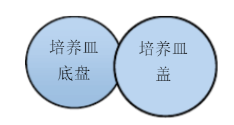 沉降菌測(cè)試
